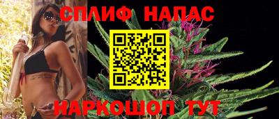 гашик Бузулук