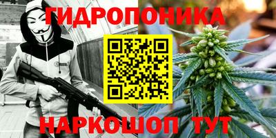 спайс Будённовск
