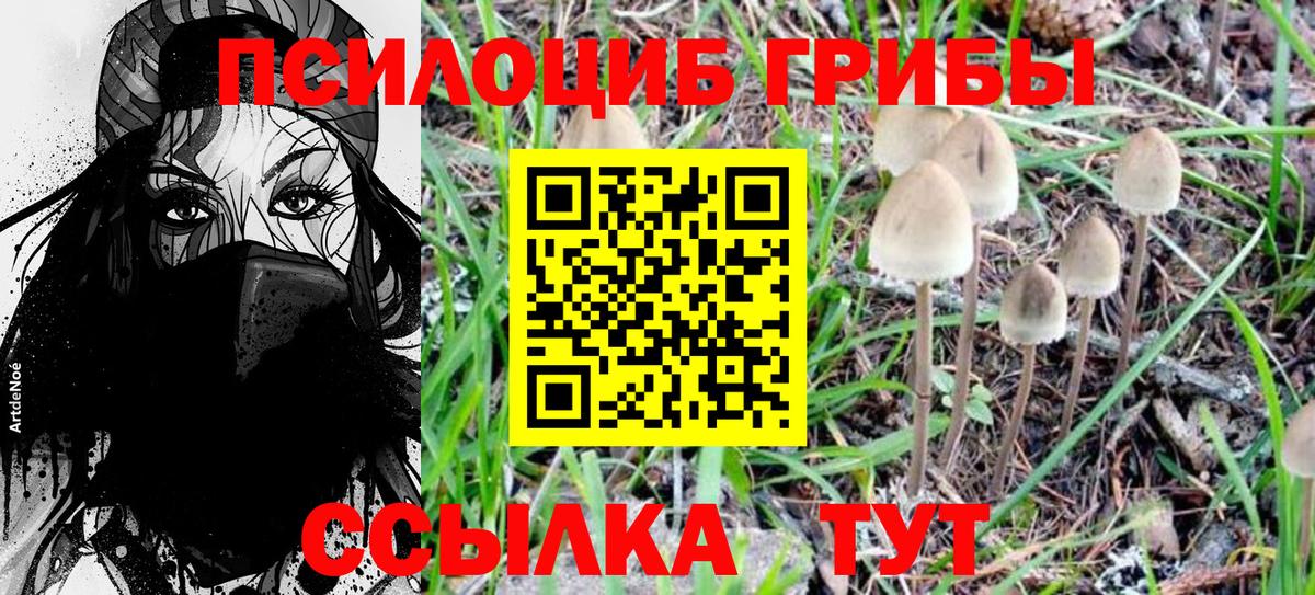 Галлюциногенные грибы мухоморы  Псилоцибиновые грибы Psilocybine cubensis  купить наркотик  Вход с VPN  Балаково 