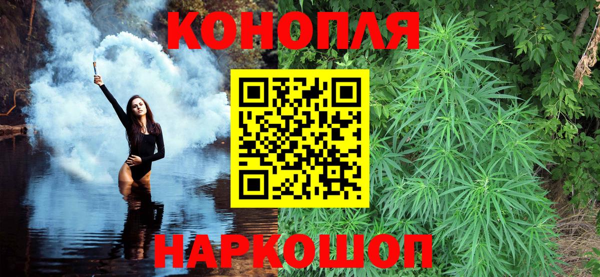Бошки Шишки конопля Балаково