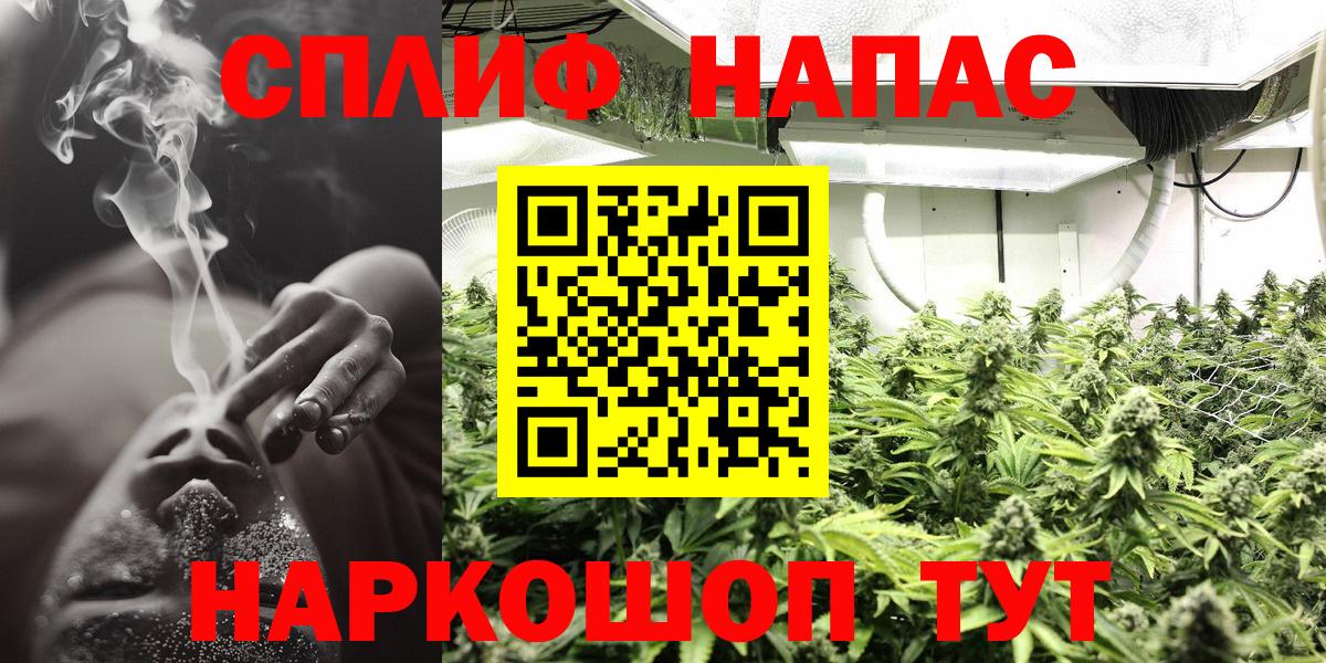 Канабис конопля  Вход с VPN  Балаково  Шишки марихуана VHQ  Марихуана планчик  Бошки Шишки OG Kush 